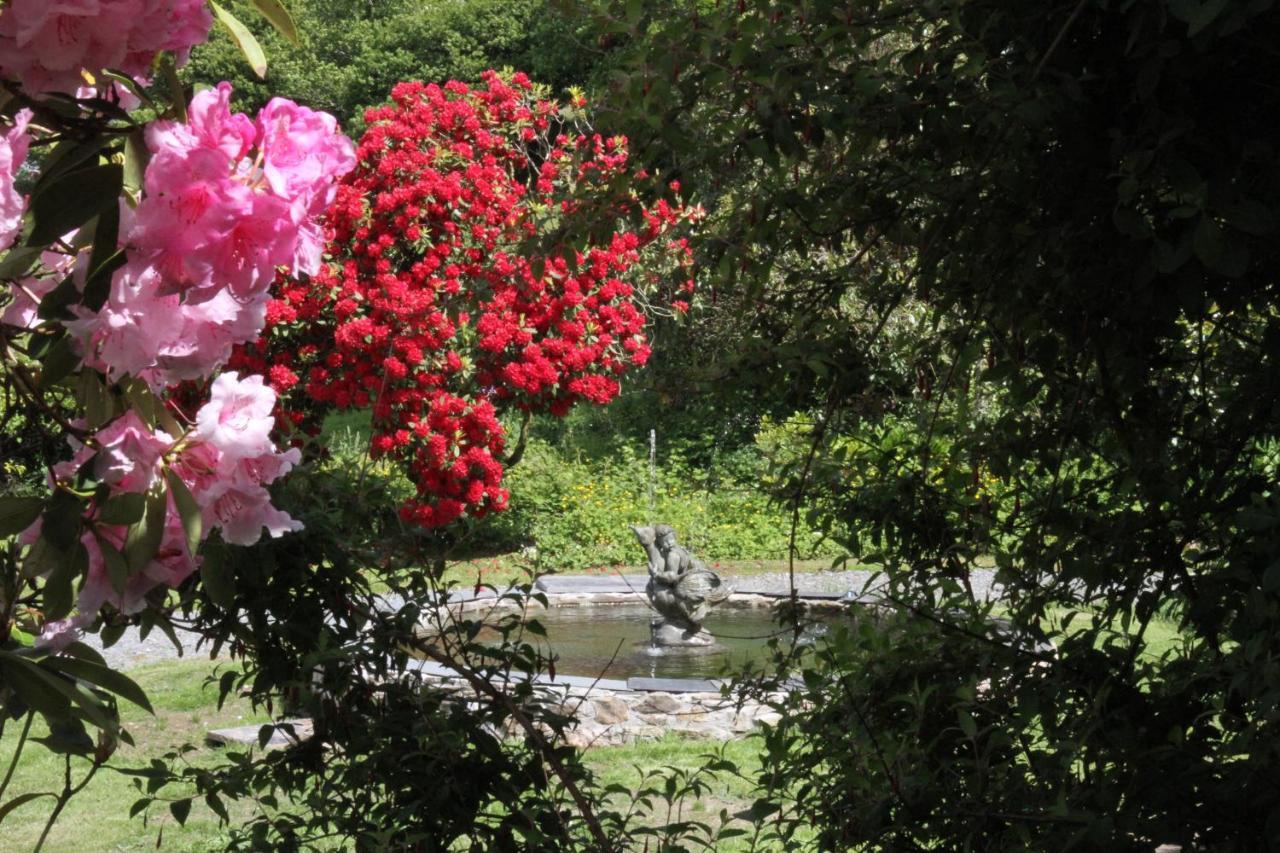 Devon Country Paradise Tavistock  Eksteriør billede