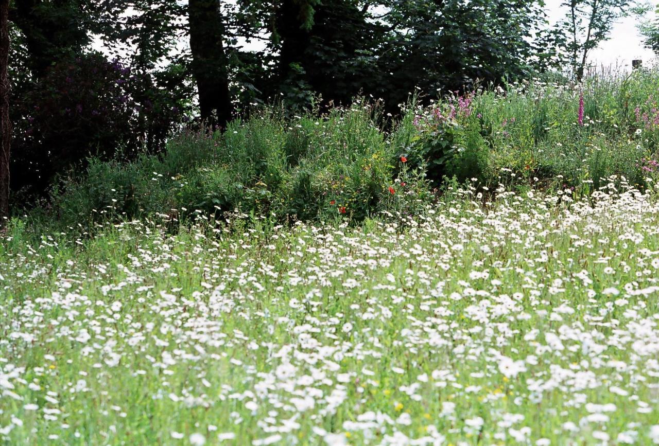 Devon Country Paradise Tavistock  Eksteriør billede