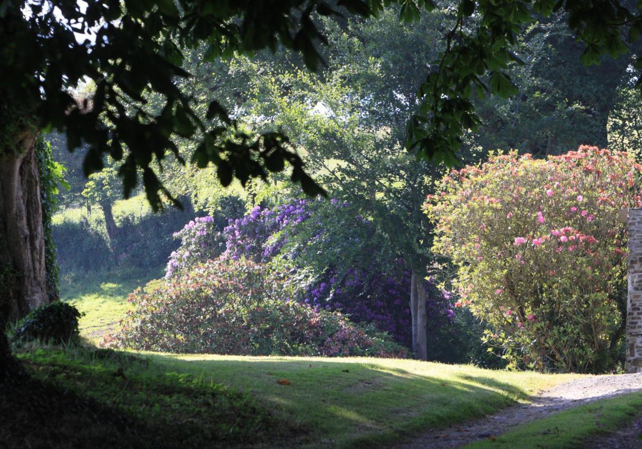 Devon Country Paradise Tavistock  Eksteriør billede