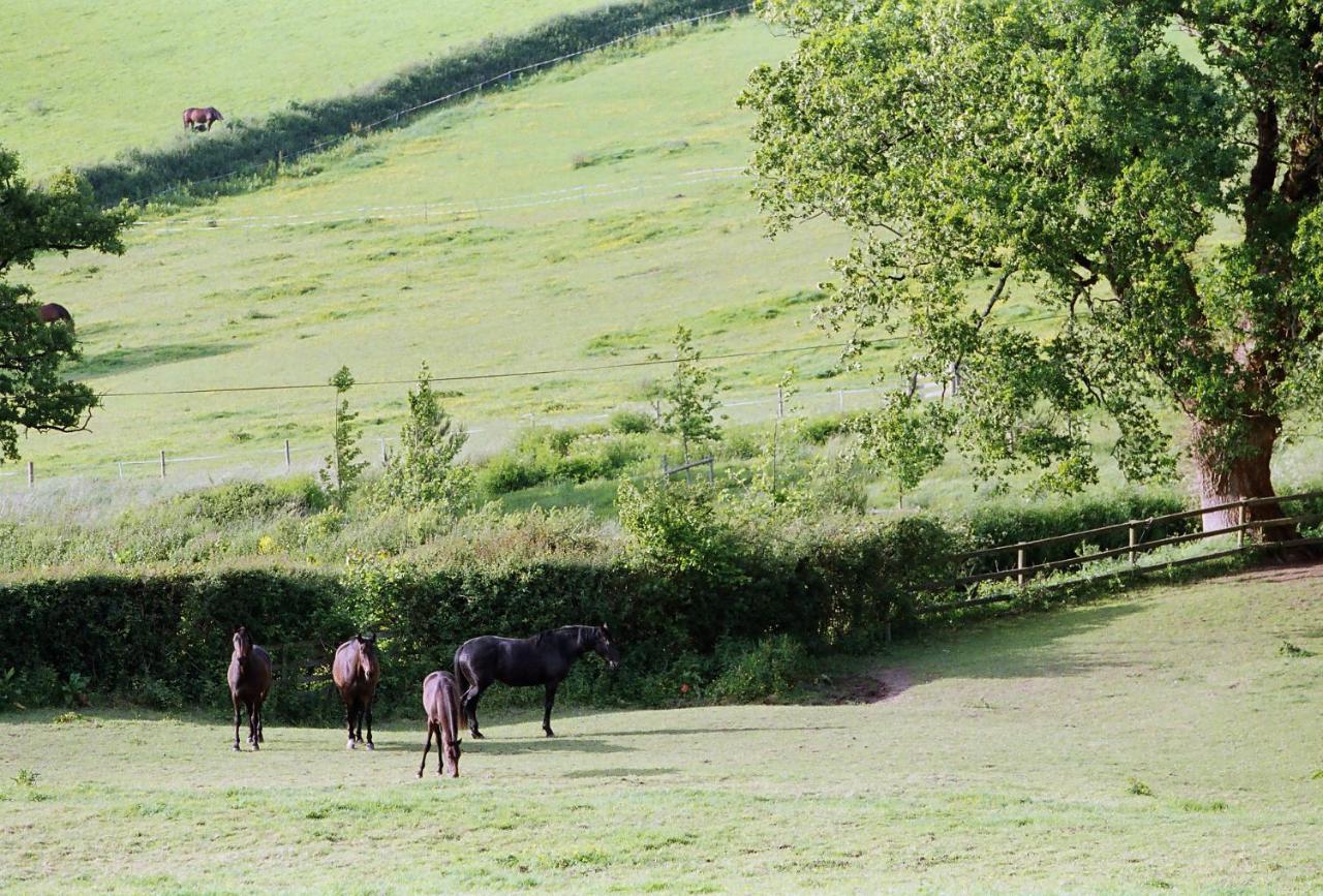 Devon Country Paradise Tavistock  Eksteriør billede