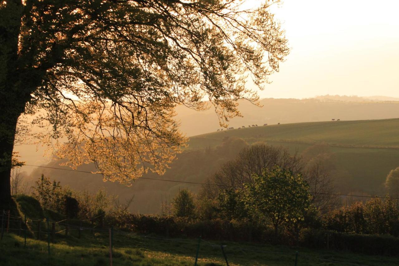 Devon Country Paradise Tavistock  Eksteriør billede