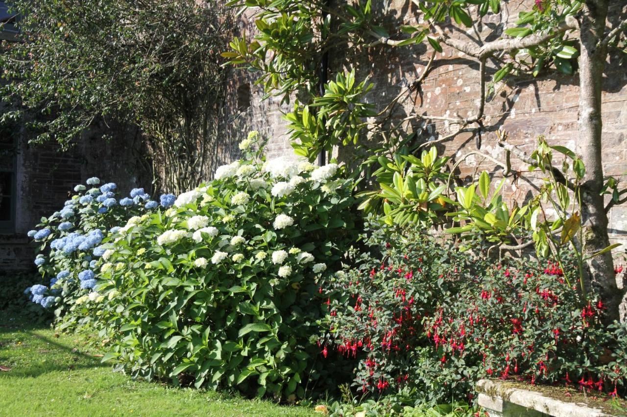 Devon Country Paradise Tavistock  Eksteriør billede