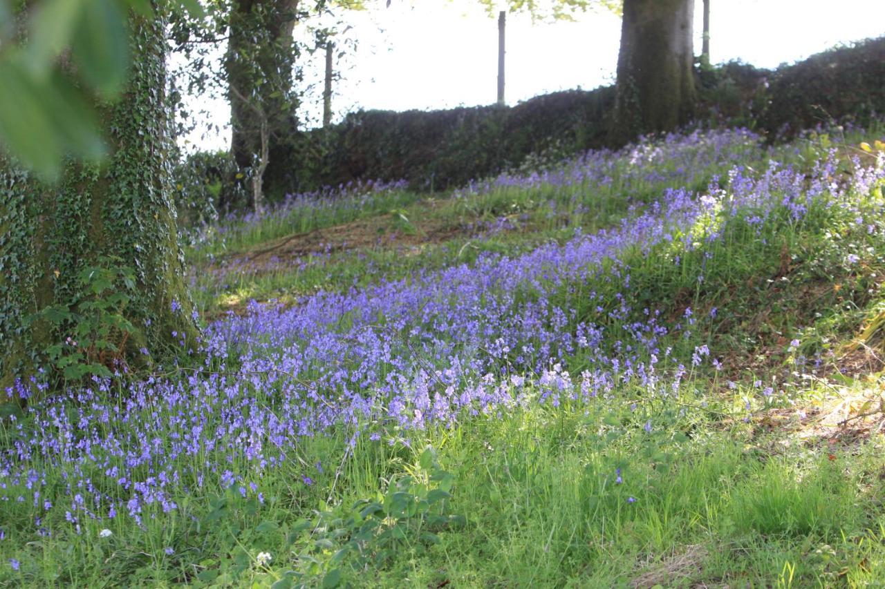 Devon Country Paradise Tavistock  Eksteriør billede